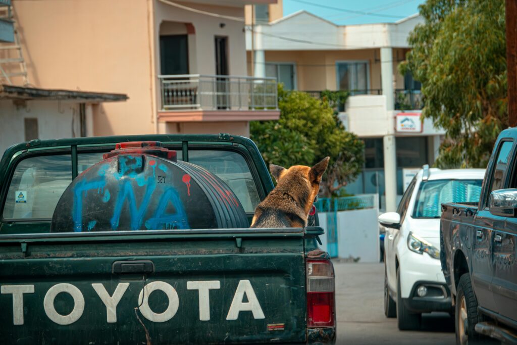 Toyota Dominance